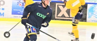 KLART: Forwarden går in på sin sjunde säsong i Visby Roma