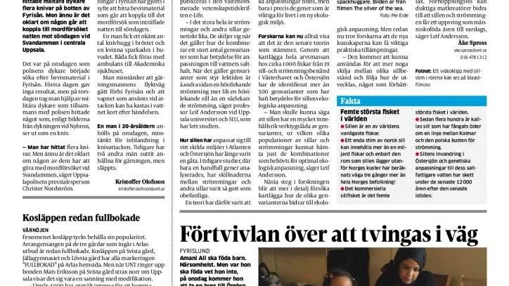 Utsatt. Förra veckan ska två tonårsflickor vid skilda tillfällen ha misshandlats i Uppsala av jämnåriga tjejer. Här är en UNT-notis om den ena händelsen.