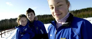 Gryviks - tre brottare vid vägs ände