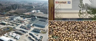 Upp till bevis! Katrineholm måste klara varsel 