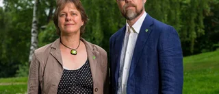 Enzonstaxa, spårväg, förnybar energi – så kan länet bli hållbart
