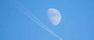 IATA höjer flygprognosen