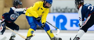 Bomben: Världens bästa spelare aktuell för Uppsala Bois