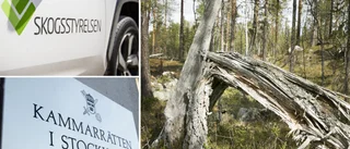 Skogsägare får rätt mot Skogsstyrelsen – nyckelbiotoper hävs