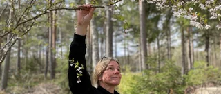 Sex trädgårdstips – för maj månad i Västervik