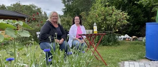 Så får Carina odlingarna att leva – trots bevattningsförbudet