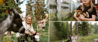 Brist på ideella krafter en oro för Skellefteås föreningsliv