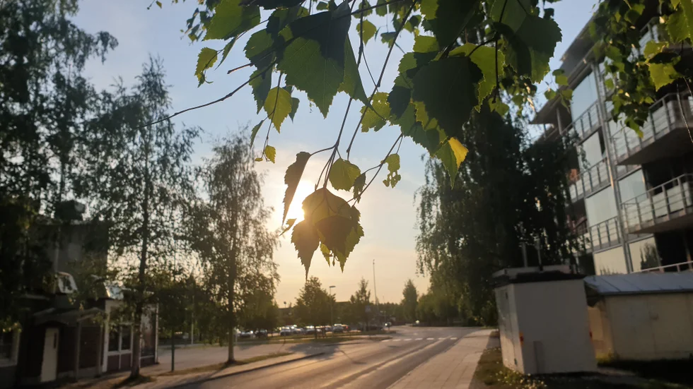 Dagens läsarbild.