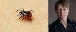 Så många i Uppsala fick TBE i fjol – hårdast drabbat i Sverige