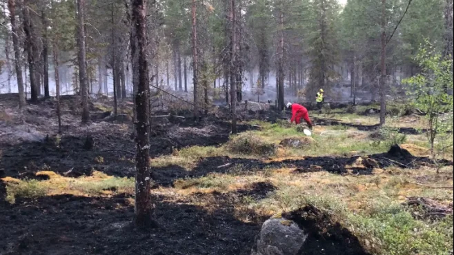 Margitha Konradsson säger att det är väldigt torrt i marken och att det ligger och pyr i marken.