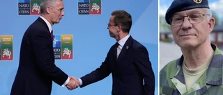 Hemvärnet om Nato-inträdet: "Tänkbart att vi får utlandsuppdrag"