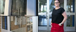 Äggkastare gick till attack mot skolan