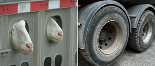 Så drabbades det gotländska åkeriet av ett inbrott
