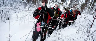 Besöksnäringens miljardresultat: "Nu är vi en basnäring"