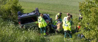 Förare väjde för djur – voltade ner i diket