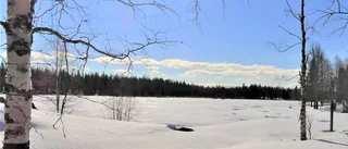 Vackert vita vidder
