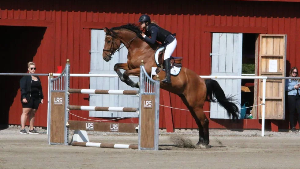 Fanny Blanck skördade framgångar på SM men hästen Luxor L.