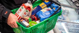 Hemvändare: Allt är dyrare i Norrbotten