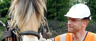 Hästkraft istället för motorkraft