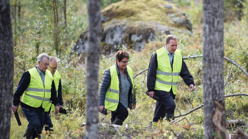 Vi bor i ett land där skogen är mer än en asfalterad väg genom en park.  På bilden syns bland andra landsbygdsminister Sven-Erik Bucht och statsminister Stefan Löfven under en promenad i Holmens skogar utanför Örnsköldsvik.