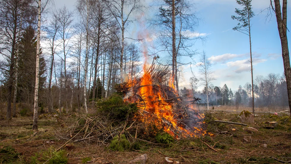 Den första mars blir det tillåtet att elda ris i Uppsala igen.