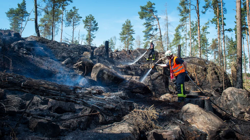 Kalhygge i lågor utanför Vrena. Räddningstjänsten larmades vid 11.20-tiden på tisdagen om en skogsbrand strax nordost om Vrena.