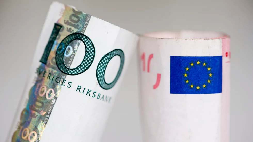 20 år har gått sedan Sverige senast tog ställning till euron. Sedan dess har mycket förändrats, menar Liberalerna, som vill att Sverige nu går in i eurosamarbetet.