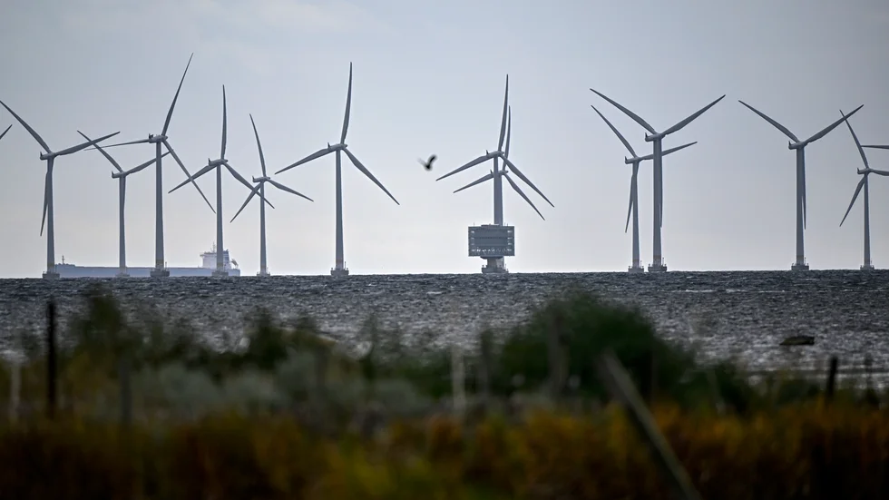 Lillgrund vindkraftpark söder om Öresundsbron. Nu finns planer på större vindkraftverk och forskare ska undersöka hur mycket undervattensbuller de kan medföra. Arkivbild.
