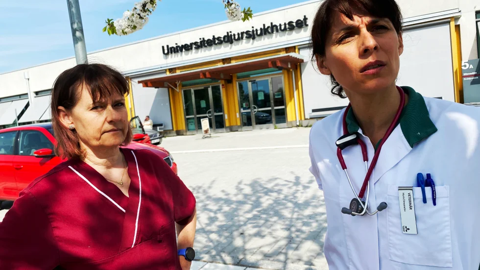 Marit Gorvy och Maria Dimopoulou är veterinärer på smådjurskliniken och kritiska mot hur mycket pengar SLU lagt på externa konsulter. "Jag blir så arg", säger Maria Dimopoulou.