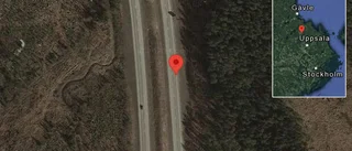 Singelolycka på E4
