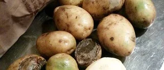 En het potatis