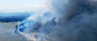 Skogsbrand härjade sydkoreansk stad