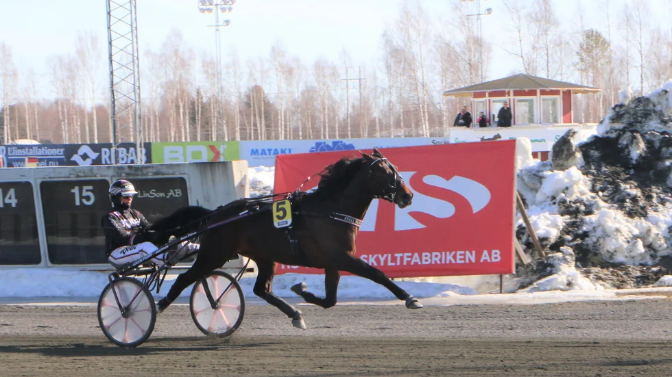 Last Dying Breath (Hanna Olofsson) dansar undan på lätta hovar i V4-1. Hanna Olofsson kunde sitta och finåka på tiden 14,1 (1640 meter autostart).