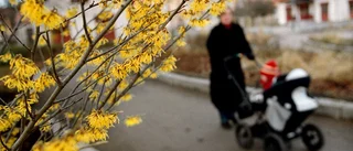 Nu blir det fritids i parkleken