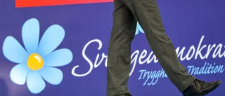Man blev ofrivilligt SD-politiker