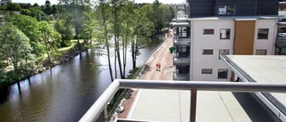 Bolaget som gjorde bort sig