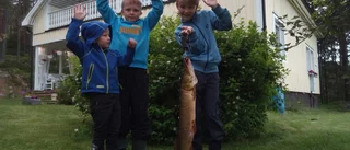 Fiskedramat: "Gäddan bet av spötoppen"