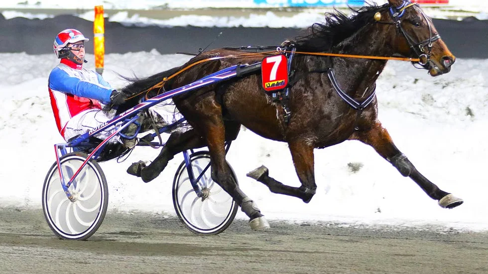 Hemmavinnare. Roger Nilsson vann V4-1 med sin häst Execute.