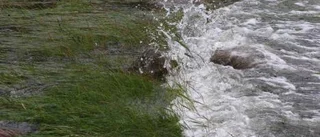 Mer än karbinhakarna hade brustit