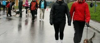 Hjampisjoggen avgjordes i ett riktigt hundväder...