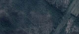 Ägarbyte för skogsmarken på Hällberg 16 i Abborrträsk