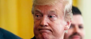 Trump häver sekretess på utredning