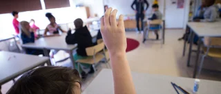 Stärk kunskapen i hela skolan 
