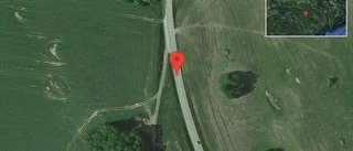 Fallna träd skapar problem i trafiken på väg 53
