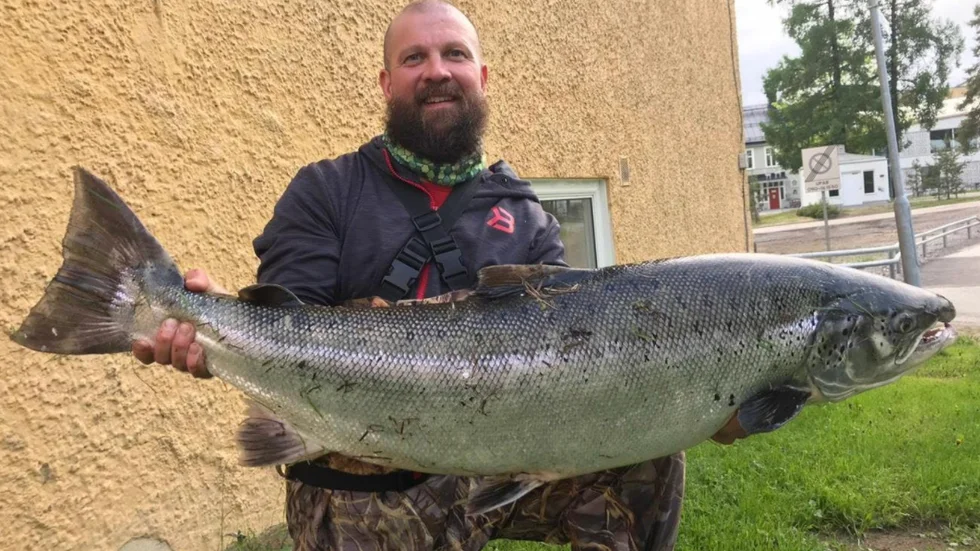Skräpflugan funkade bevisligen utmärkt. Jani Kiviniemi drog en lax på 17kilo. 