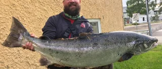 Han tog jättelaxen – på en skräpfluga: ”Fick kämpa”