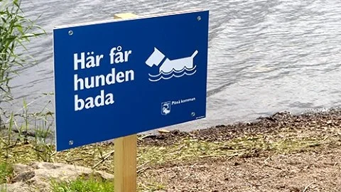 En ny badplats avsedd speciellt för hundar finns vid Norrstrand.
