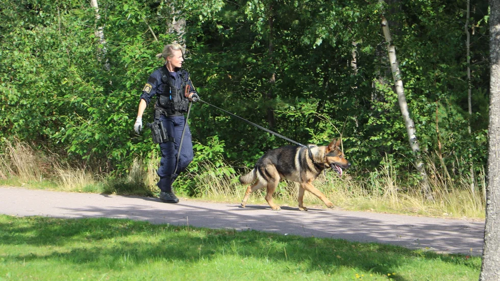 Det är ett stort sökområde som bland annat hundpatruller letar i.