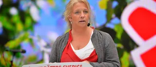 Hur djupt ska politiker få gräva i din plånbok? 