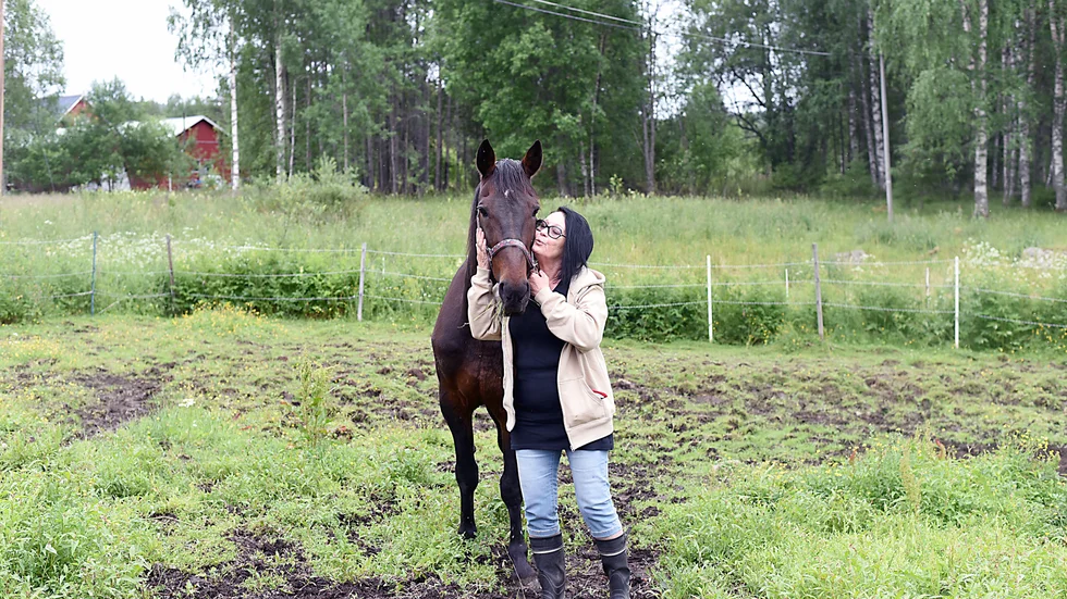 Ulla Berglund har ridit sedan hon var sju och trivs med att ha hästarna utanför köksfönstret.